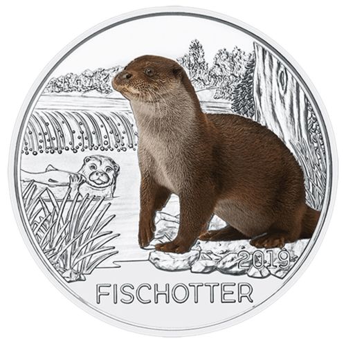 2018 Loutre