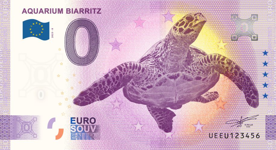 Aquarium Biarritz Tortue