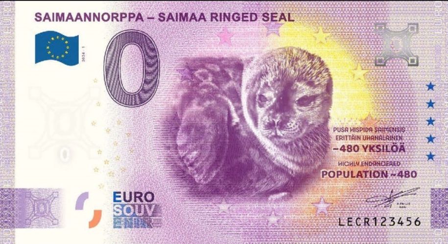 Saimaannorppa - Saimaa Ringed Seal