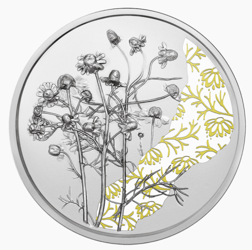 Coffret 10€ Euros Autriche 2023 Argent 925 Langage des Fleurs ''Camomille COLORISEE''