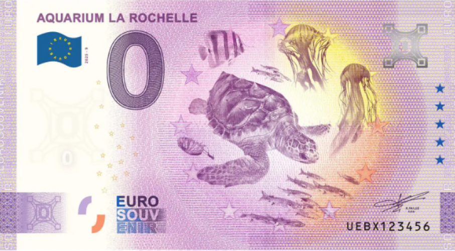 Aquarium La Rochelle Tortue