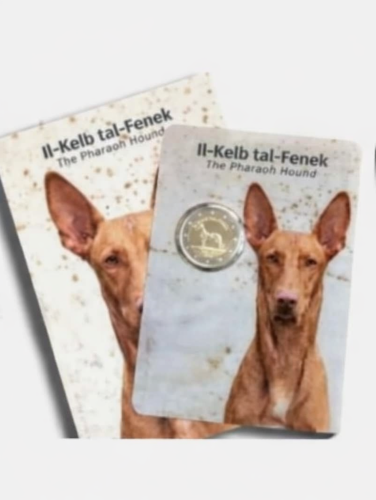 PREVENTE Coincard BU 2€ Euros Commémorative Malte 2026 Fenek