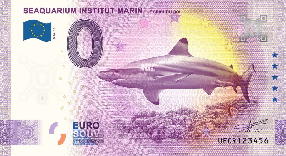 Seaquarium Grau du Roi Requin